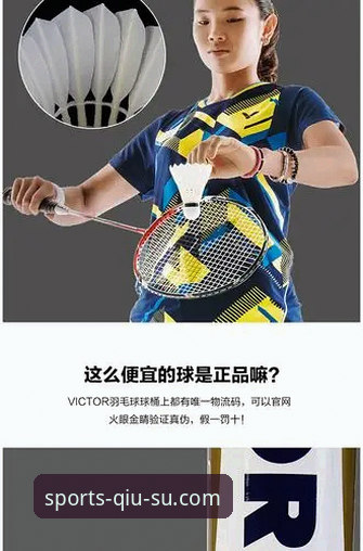 球速体育下载安装教程全面解析：2026新版性能与登录通道深度对比